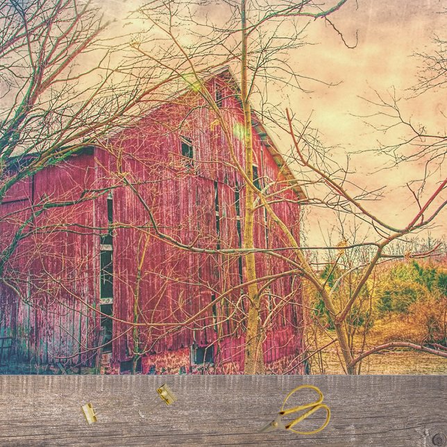 Seda Papel de tecidos Surreal e Gordo de Red Barn (Criador carregado)