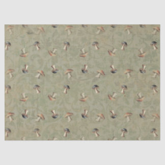 Seda Papel de Tecidos Terrenos