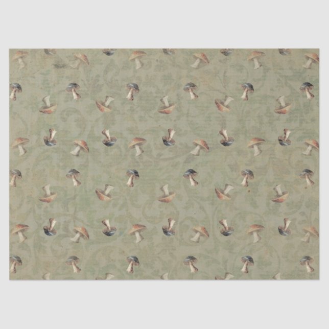 Seda Papel de Tecidos Terrenos (Frente )