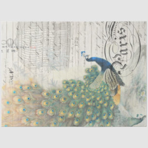 Seda Papel Decoupage de Ephemera Peacock