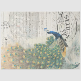 Seda Papel Decoupage de Ephemera Peacock