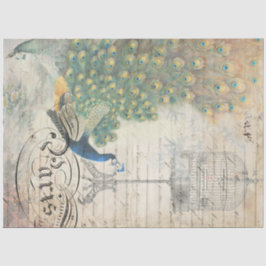 Seda Papel Decoupage de Ephemera Peacock Esquerdo