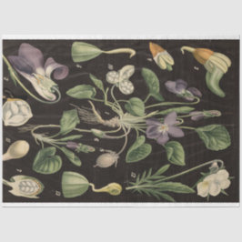 Seda Papel Decoupage de Ervilha Doce