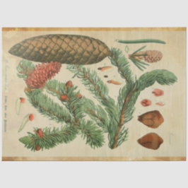 Seda Papel Decoupage do Pinho de Natal