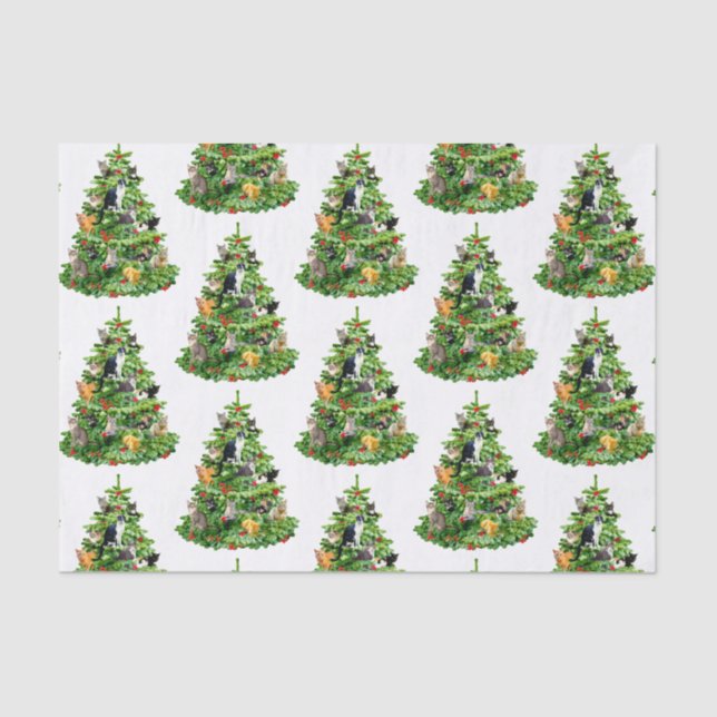 Seda Papel em árvore de gatos (Frente )