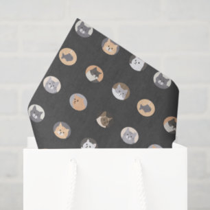 Seda Papel Higiênico com Estampa de Rosto de Gato Fofo
