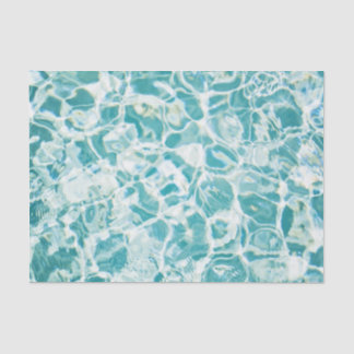 Seda Papel Higiênico de Piscina