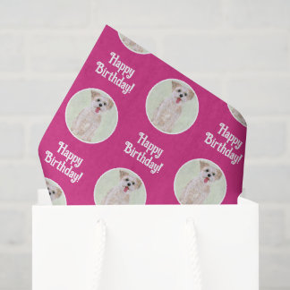 Seda Papel Higiênico Rosa de Cachorro Morkie