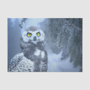 Seda papel para tecidos de uva de neve