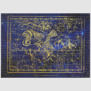 Seda papel tecelular da constelação de delphinus
