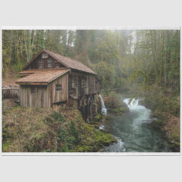 Seda Papel Tecido de Decoupage 26 da Forest Cabin