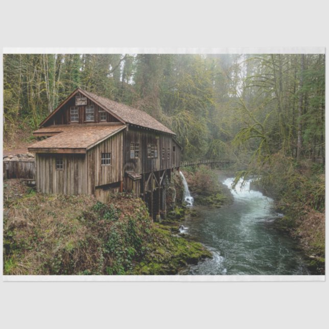 Seda Papel Tecido de Decoupage 26 da Forest Cabin (Frente )