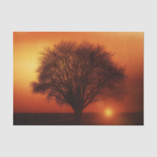 Seda Papel Tecido de Decoupage da Árvore Sunset