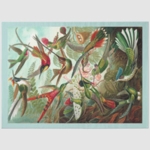Seda Papel Tecido de Decoupage de Aves Humanas