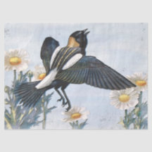 Papel Tecido de Decoupage de Pássaros Bobolink