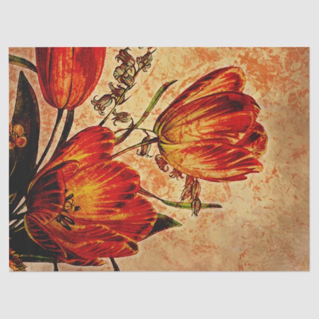 Seda Papel Tecido de Decoupage de Tulipas Laranja Grung (Frente )