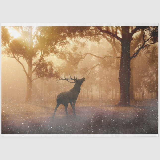 Seda Papel Tecido de Decoupage de Vencedores Florestais (Frente )