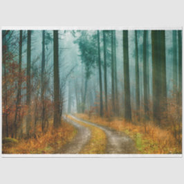 Seda Papel Tecido de Decoupage do Caminho da Floresta o