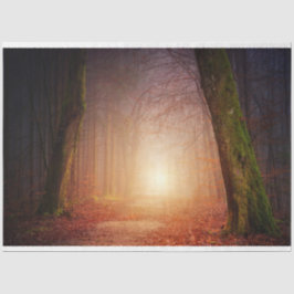 Seda Papel Tecido de Decoupage do Forest Light 17