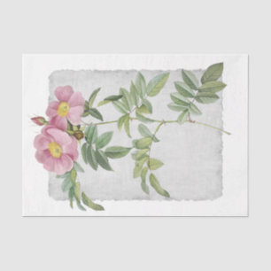 Seda Papel Tecido de Decoupage do Rosa da Pradaria 48 d