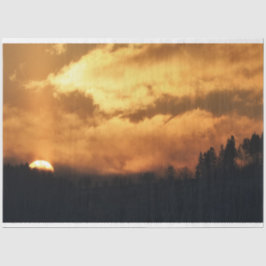 Seda Papel Tecido de Decoupage do Sunset da Floresta