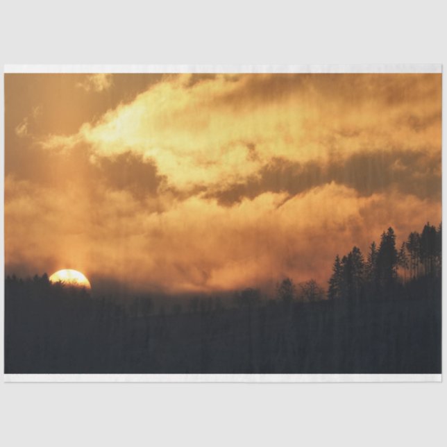 Seda Papel Tecido de Decoupage do Sunset da Floresta (Frente )