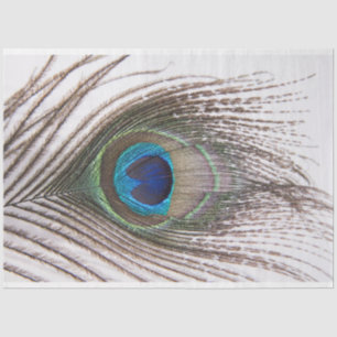 Seda Papel Tecido de Descolagem da Pavão 3