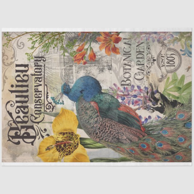 Seda Papel Tecido de Peacock Vintage (Frente )