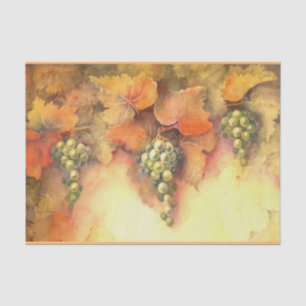 Seda Papel Tecido de Uvas Chardonnay