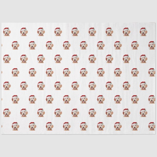 Seda Papel Tecido do rabisco de ouro de Natal (Frente )
