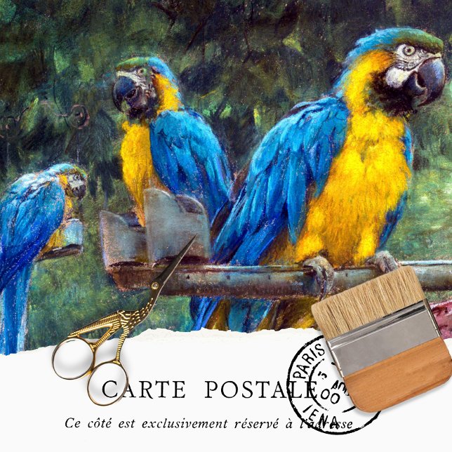 Seda Papel Tecidual de Decoupage Amarelo Vintage Azul (Criador carregado)