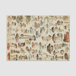 Seda Papel Tecidual de Decoupage de Cogumelos Vintage