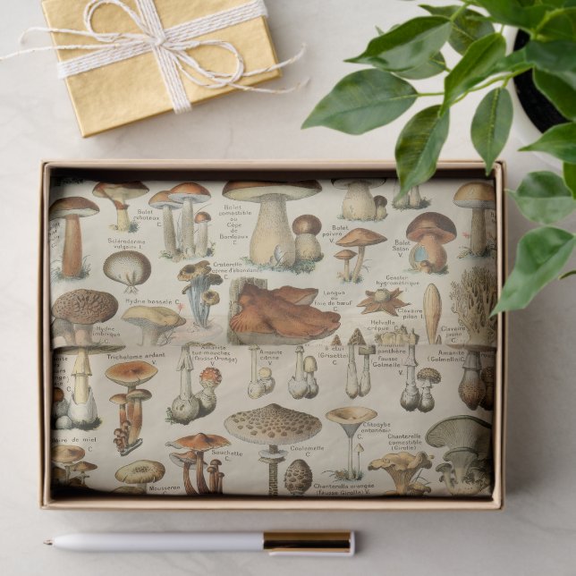 Seda Papel Tecidual de Decoupage de Cogumelos Vintage (Presente)