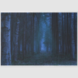 Seda Papel Tecidual de Descaptação de Floresta da Meia-