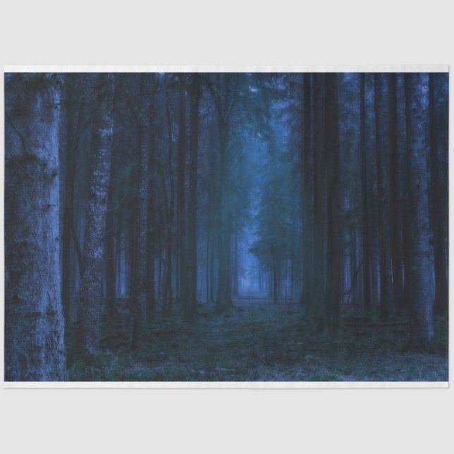 Seda Papel Tecidual de Descaptação de Floresta da Meia- (Frente )