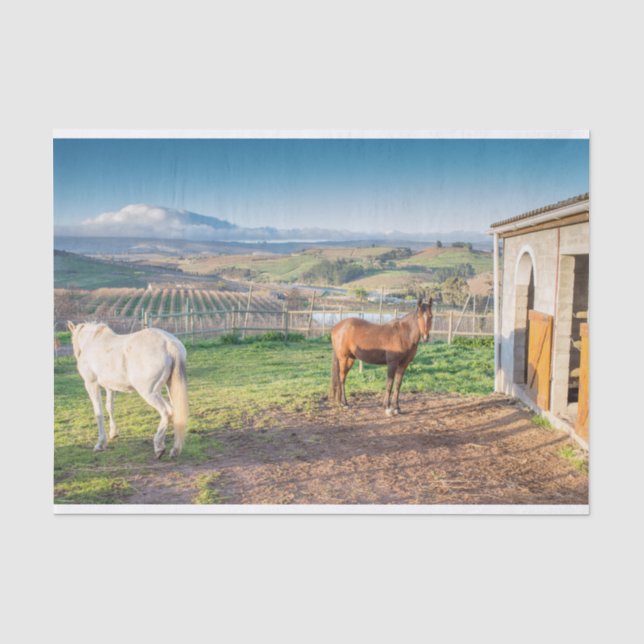 Seda Papel tecidular com imagem de cavalos árabes (Frente )