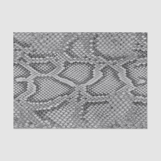 Seda Papel tecidular com padrão de snakeskin de cinzas (Frente )