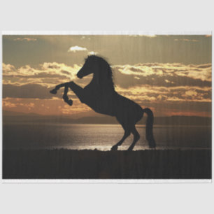 Seda papel tecidular de cavalo
