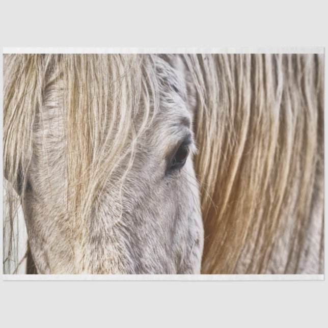 Seda papel tecidular do cavalo de bronzeamento (Frente )