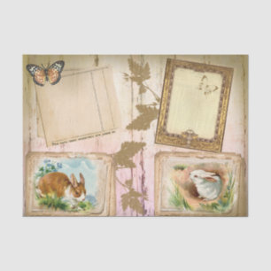 Seda Papel tecidular para coelhos de parada