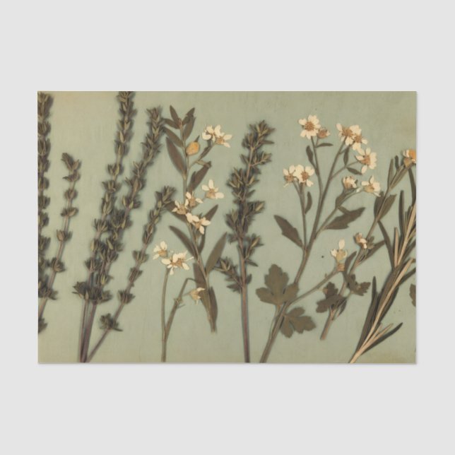Seda Papel Tisu de Ervas Rústicas e Flores Silvestres (Frente )
