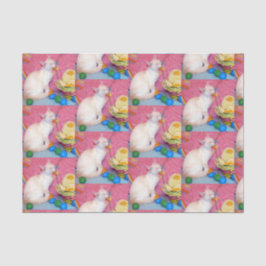Seda Páscoa de Tiffany - Papel Tecido de Gato Siamês