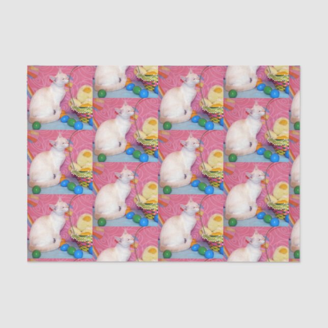 Seda Páscoa de Tiffany - Papel Tecido de Gato Siamês (Frente )