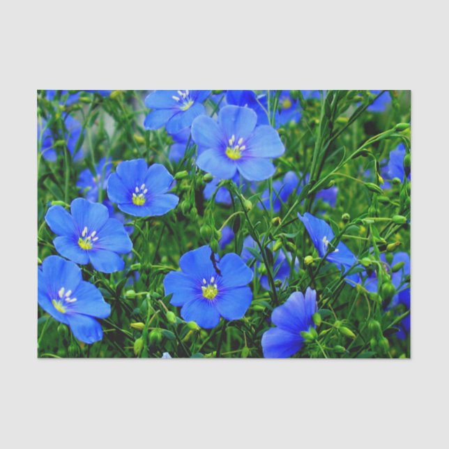 Seda Patch do PAPEL WRAP Flor de Linum Azul-Linho-TECID (Frente )