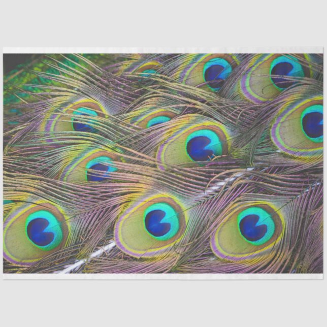 Seda Penas de Peacock 1 Papel de Tecido de Decoupage (Frente )