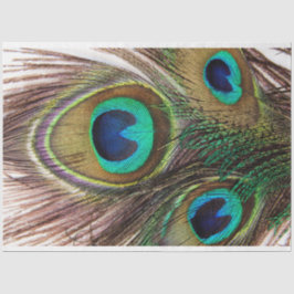 Seda Penas de Peacock 2 Papel de Tecido de Decoupage