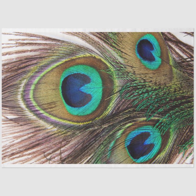 Seda Penas de Peacock 2 Papel de Tecido de Decoupage (Frente )