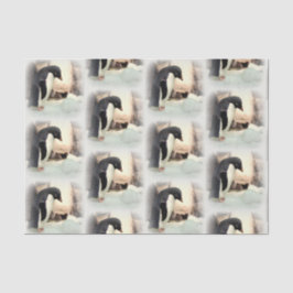 Seda Pinguim Snowball - Papel Tecido de Luta