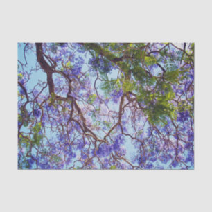 Seda Pintura De Óleo De Árvore Puro Jacaranda, Papel