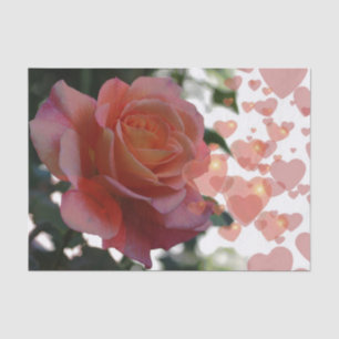 Seda Rosa com papel de tecido cardíaco